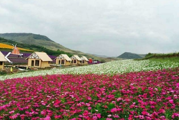 上山庄花海的图标